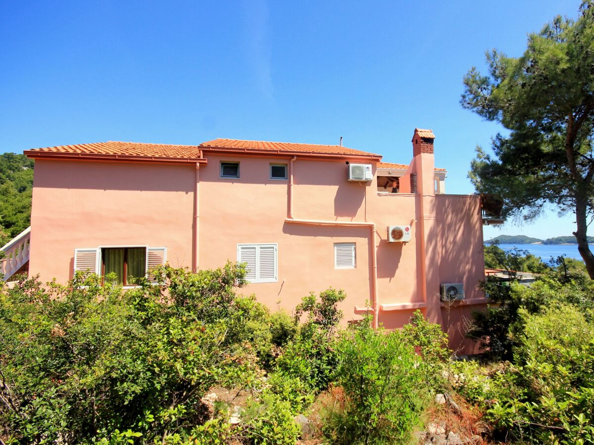 Apartment Four-bedroom apartment near beach Prižba, Korčula A-10061-b - Outdoor photo 2