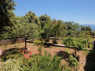 Apartment Four-bedroom apartment near beach Prižba, Korčula A-10061-b - Outdoor photo 11