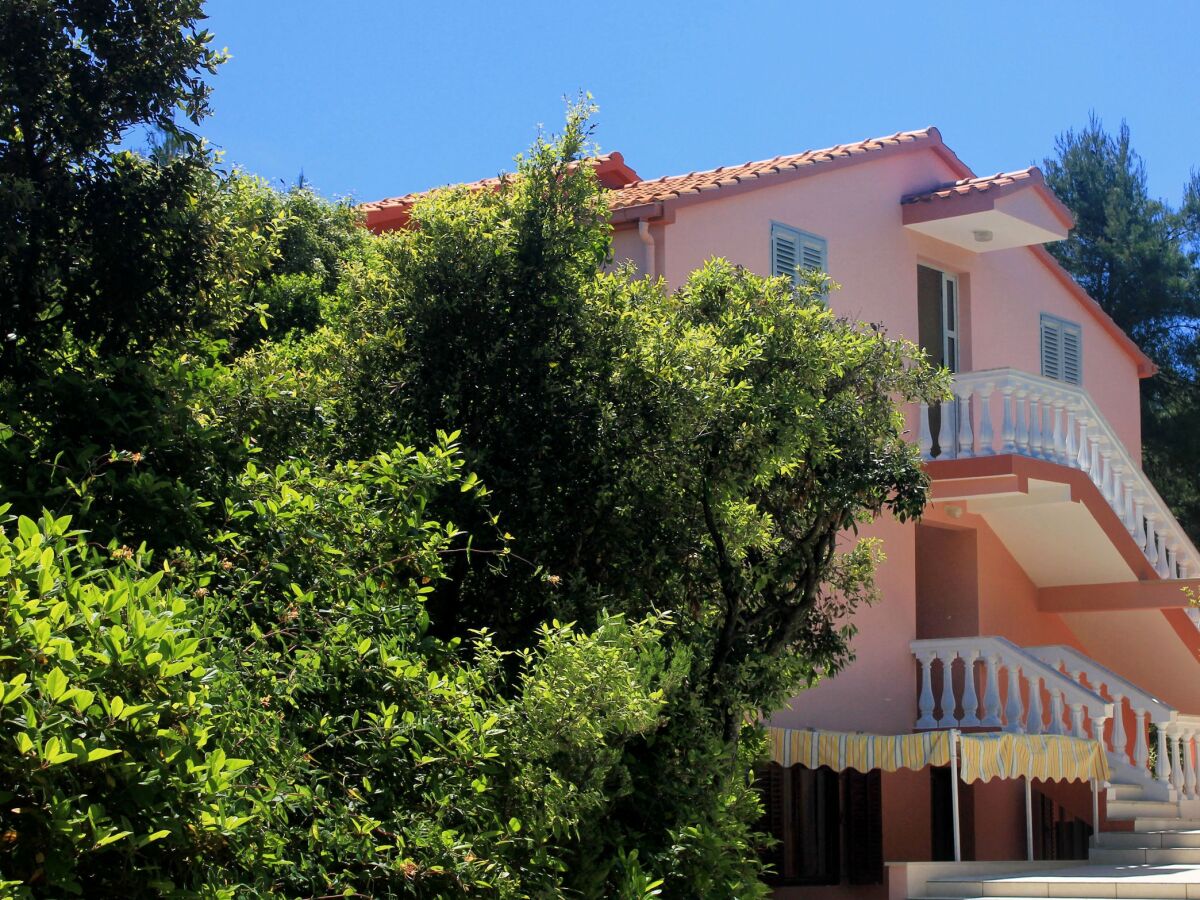 Apartment Two bedroom apartment near beach Prižba, Korčula A-10061-c - Outdoor photo 4
