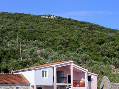 Apartment One bedroom apartment near beach Žuronja, Pelješac A-10123-a - Outdoor photo 2