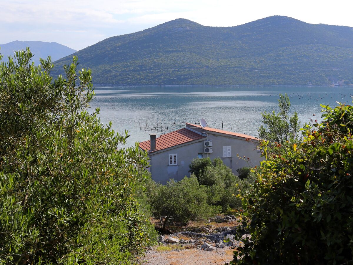 Apartment One bedroom apartment near beach Žuronja, Pelješac A-10123-b - Outdoor photo 4