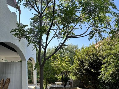 Apartment Two bedroom apartment with terrace Novalja, Pag A-22963-d - Outdoor photo 3