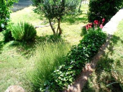 Apartment Studio flat with balcony and sea view Bunica, Senj AS-22142-a - Outdoor photo 14