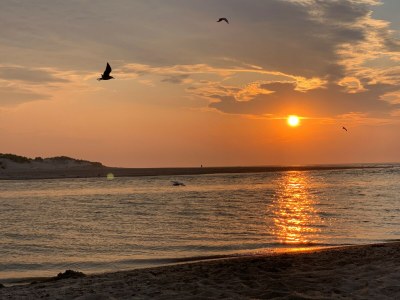 Holiday apartment Lichthuys 101 - Environment photo 27