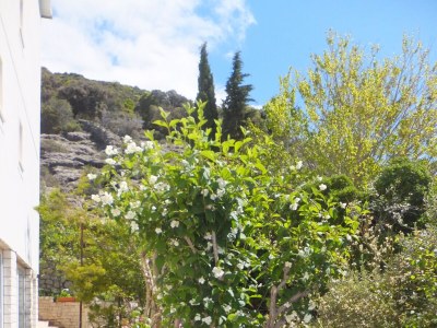 Apartment One bedroom apartment near beach Supetarska Draga - Gornja, Rab A-5054-b - Outdoor photo 10