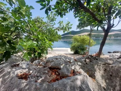 Apartment Two bedroom apartment near beach Žuronja, Pelješac A-13202-a - Outdoor photo 14