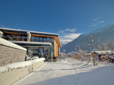 Holiday park Apartment in Wildkogel near Ski Lift - Outdoor photo 9