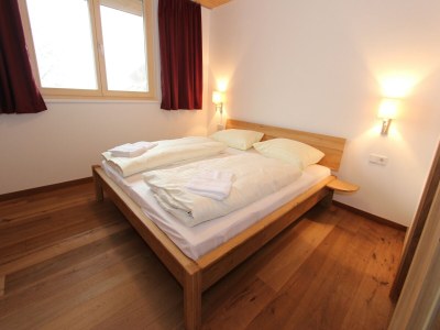 Holiday park Apartment in Neukirchen near Ski Lift - Features photo 15