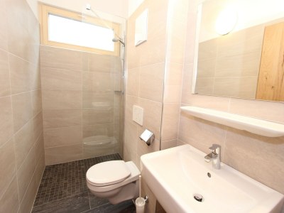 Holiday park Apartment in Neukirchen near Ski Lift - Features photo 16