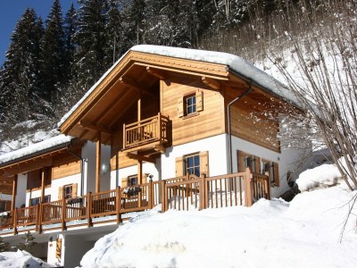 Holiday park Chalet in Königsleiten near Ski Bus, Pool - Outdoor photo 3
