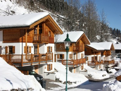 Holiday park Chalet in Königsleiten near Ski Bus, Pool - Outdoor photo 4