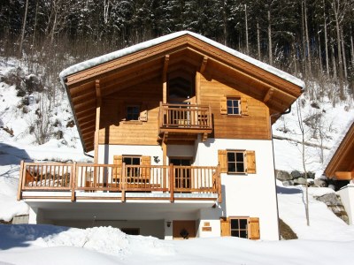 Holiday park Chalet in Königsleiten near Ski Bus, Pool - Outdoor photo 8