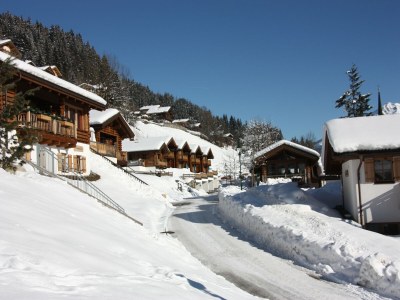 Holiday park Chalet in Königsleiten near Ski Bus, Pool - Outdoor photo 9