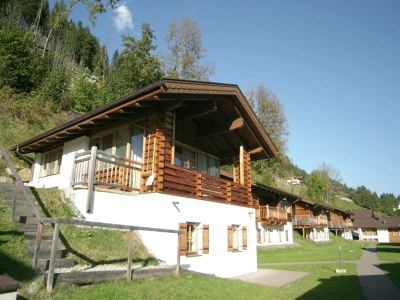 Holiday park Chalet in Königsleiten nahe Skilift in Nationalpark Hohe Tauern - Holiday park