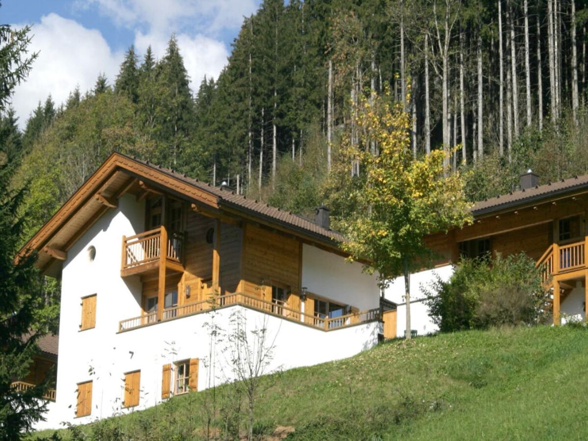 Holiday park Chalet in Königsleiten nahe Skibus