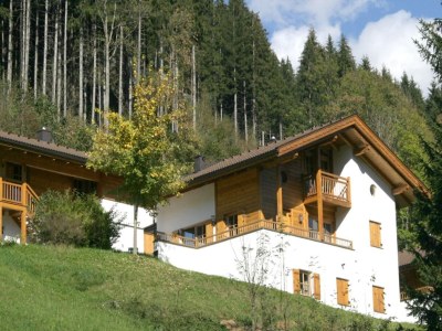 Holiday park Chalet in Königsleiten nahe Skibus - Outdoor photo 20