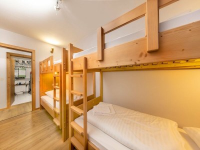 Holiday park Chalet in Königsleiten nahe Zillertal Arena - Features photo 14