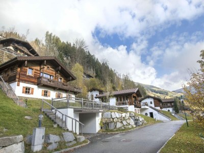 Holiday park Chalet in Wald in der Nähe der Zillertaler Skihalle - Environment photo 30