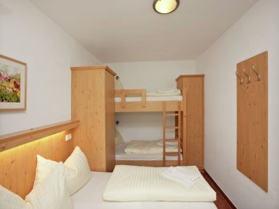 Holiday park Cozy masionette with sauna near Königsleiten - Features photo 15