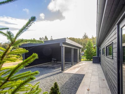 Holiday house 5 star holiday home in Silkeborg - Outdoor photo 17