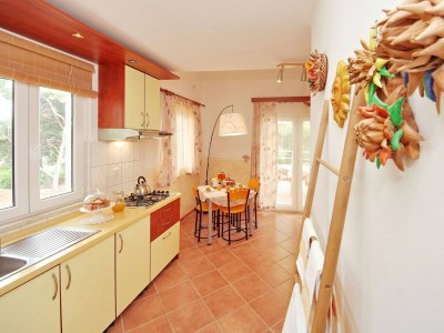 Apartment Studio Apartment with Balcony and Sea View (Jelsa) - Features photo 9