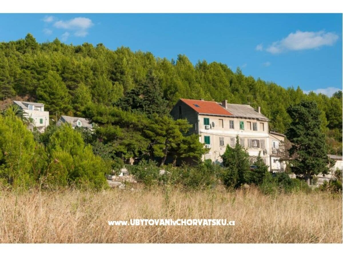 Apartment Apartment One Bedroom nmb 2