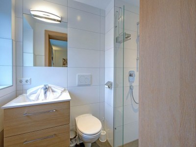 Holiday park Ski-in, ski-out Brunner Apartment, Wildschönau - Features photo 29
