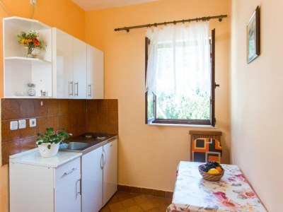 Apartment Apartments Neve - One-Bedroom Apartment with Balcony and Sea View - Features photo 6