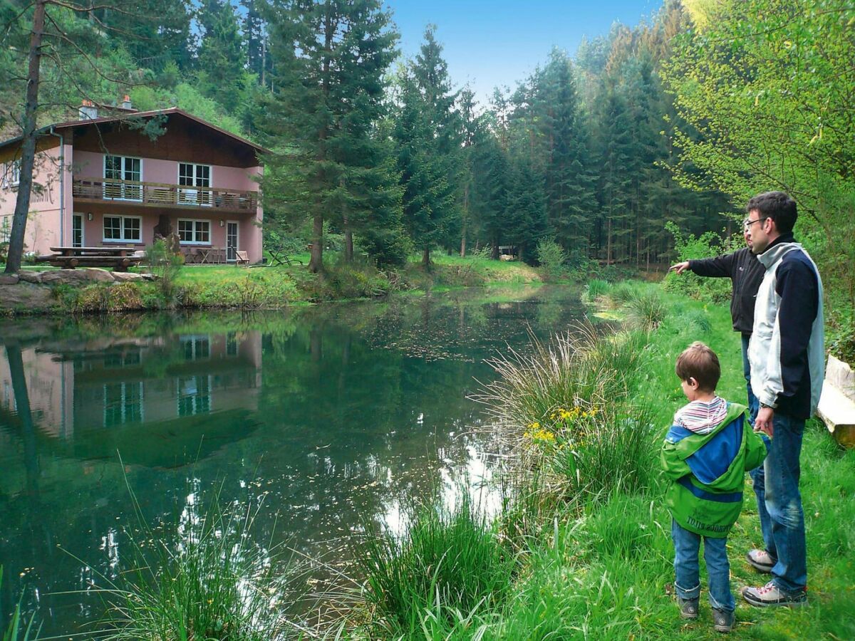 Apartment Wohnung im Elsass mit Naturparadies - Outdoor photo 5