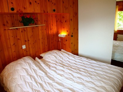 Chalet Eanta SUNNY & MOUNTAIN chalet 10 pers - Features photo 12