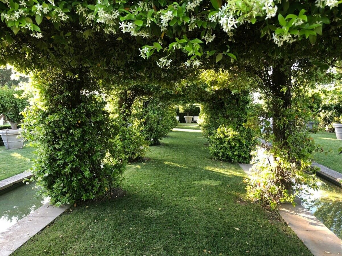 Apartment Vinarte, eine wunderschöne Villa und ein Weingut