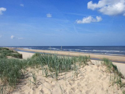 Holiday house Sterflat 85 - Ferienhaus Wohnung in Egmond nahe Dünen und Strand - Outdoor photo 16