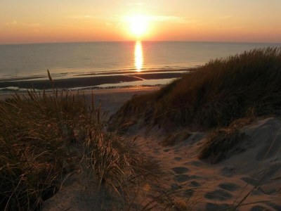 Holiday park Beach Villa in North Holland with Patio - Environment photo 20