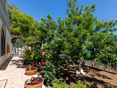 Apartment Two bedroom apartment with terrace and sea view Puntinak, Brač A-718-b - Outdoor photo 6