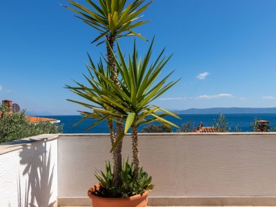Apartment Two bedroom apartment with terrace and sea view Puntinak, Brač A-718-d - Outdoor photo 8