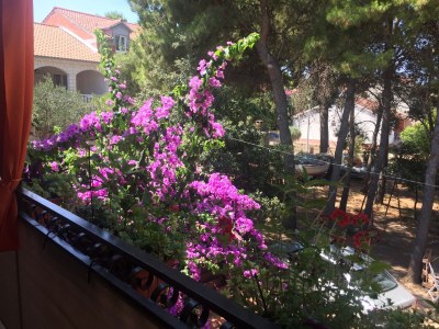 Apartment Two bedroom apartment with terrace Mirca, Brač A-2886-b - Outdoor photo 26
