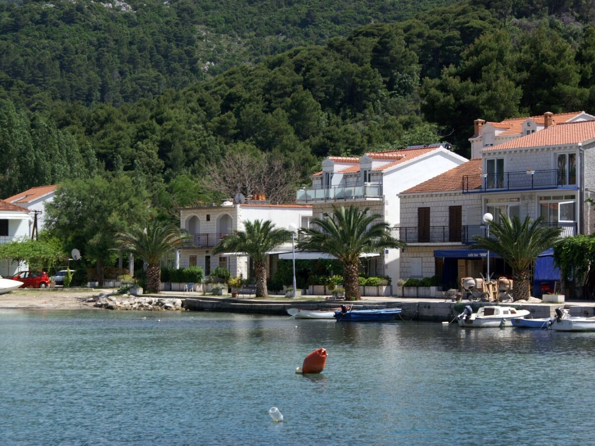 Apartment One bedroom apartment near beach Žuljana, Pelješac A-4577-a