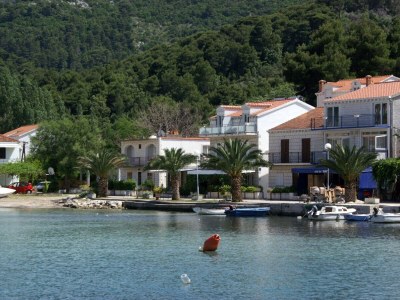 Apartment One bedroom apartment near beach Žuljana, Pelješac A-4577-a in Zuljana - Apartment
