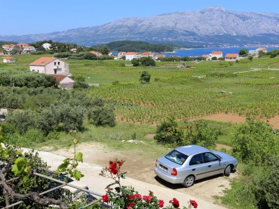 Apartment One bedroom apartment with terrace and sea view Lumbarda, Korčula A-4352-b - Outdoor photo 12