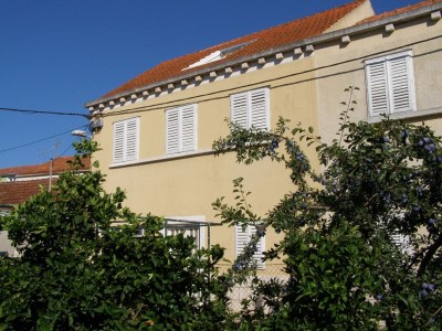 Apartment One bedroom apartment with terrace Vela Luka, Korčula A-4449-a in Vela Luka - Apartment
