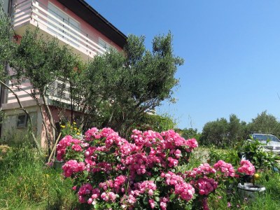 Apartment One bedroom apartment with terrace and sea view Barbat, Rab A-4988-b - Outdoor photo 11