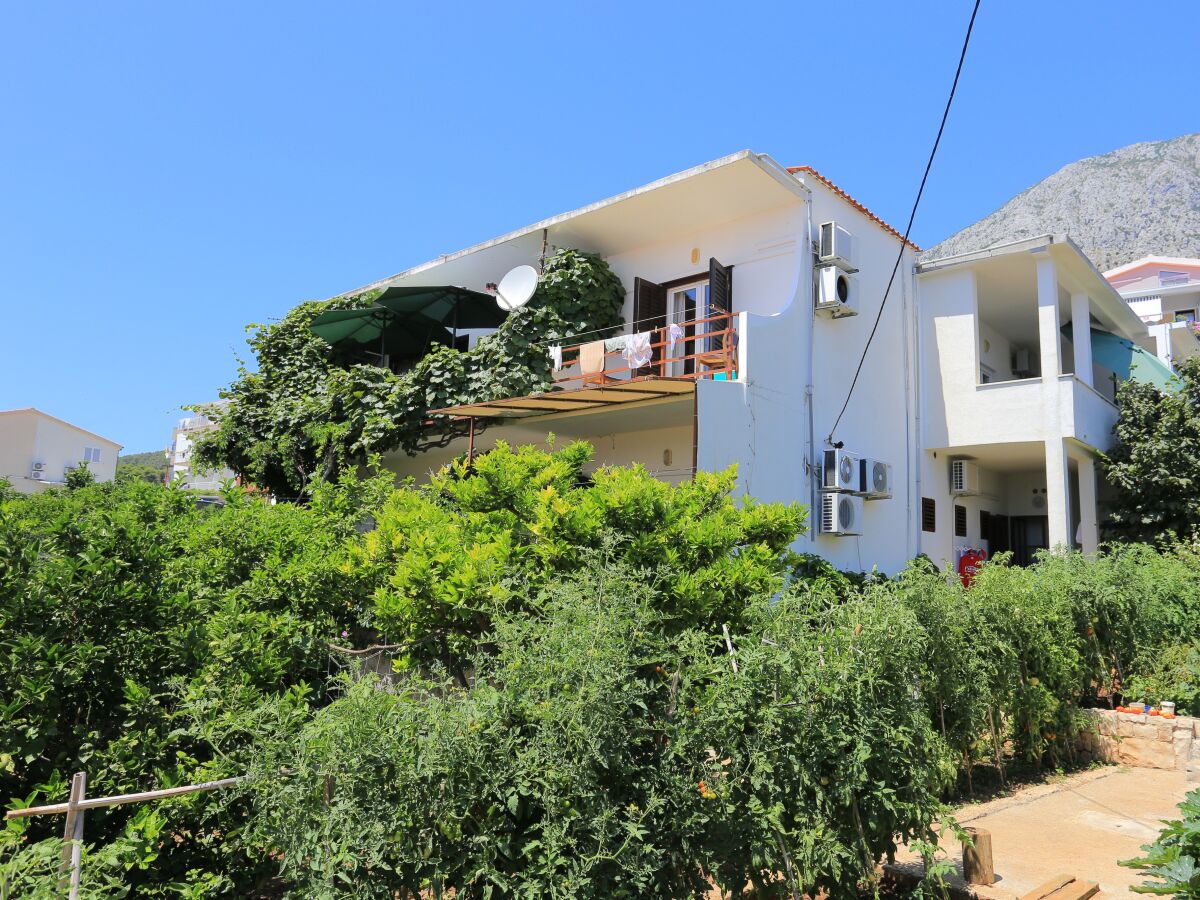 Apartment One bedroom apartment with terrace and sea view Živogošće - Blato, Makarska A-1057-c - Outdoor photo 4