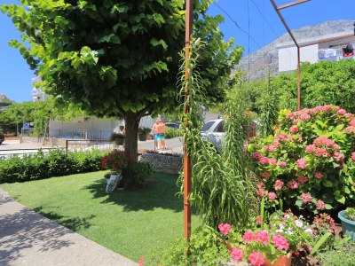 Apartment One bedroom apartment with terrace and sea view Živogošće - Blato, Makarska A-1057-c - Outdoor photo 7
