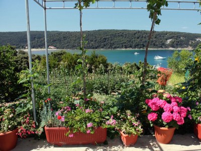 Apartment Two bedroom apartment with terrace and sea view Kampor, Rab A-5032-b - Outdoor photo 9