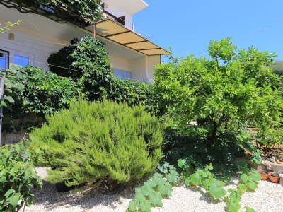 Apartment Two bedroom apartment with terrace and sea view Živogošće - Blato, Makarska A-1057-d - Outdoor photo 9
