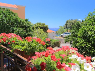 Apartment Two bedroom apartment with terrace and sea view Živogošće - Blato, Makarska A-1057-d - Outdoor photo 10