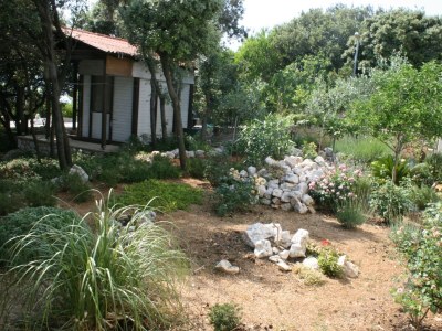 Apartment Two bedroom apartment near beach Mandre, Pag A-6518-d - Outdoor photo 7