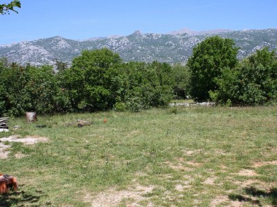 Apartment One bedroom apartment with terrace Rovanjska, Paklenica A-6209-a - Outdoor photo 11