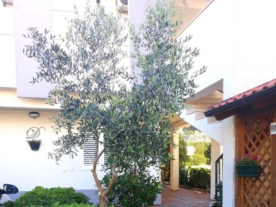 Apartment Studio flat with terrace Baška Voda, Makarska AS-6707-b - Outdoor photo 3