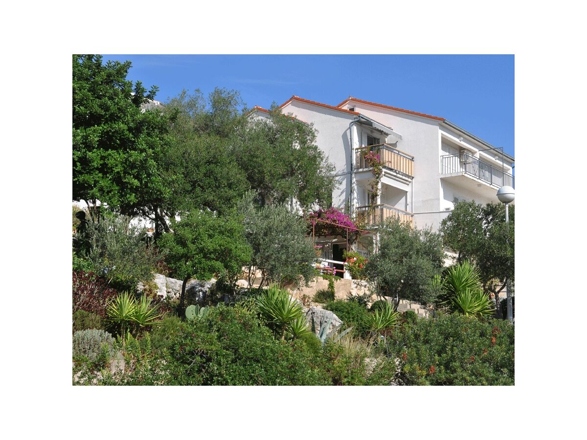 Apartment Studio flat with balcony and sea view Pasadur, Lastovo AS-8351-a - Outdoor photo 5